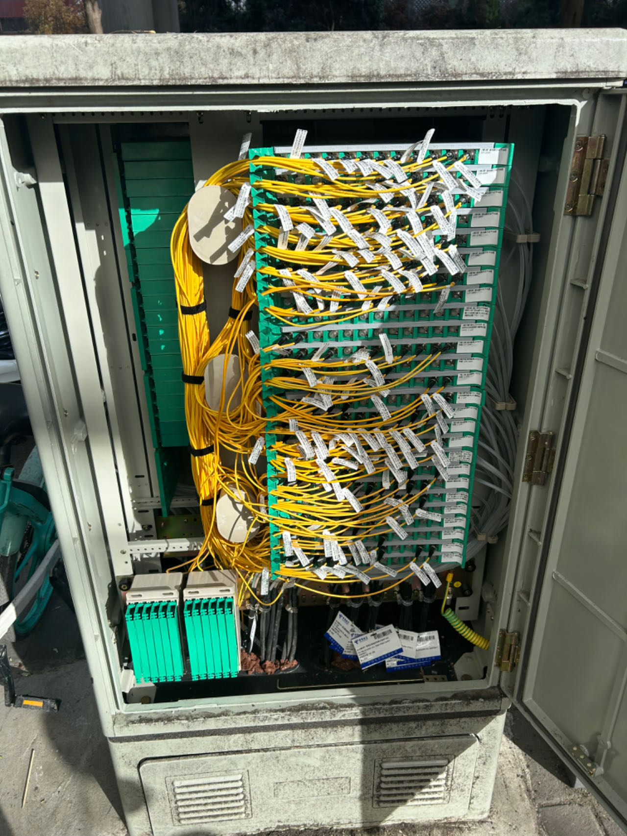 66ec2cb8ef5b6.jpg